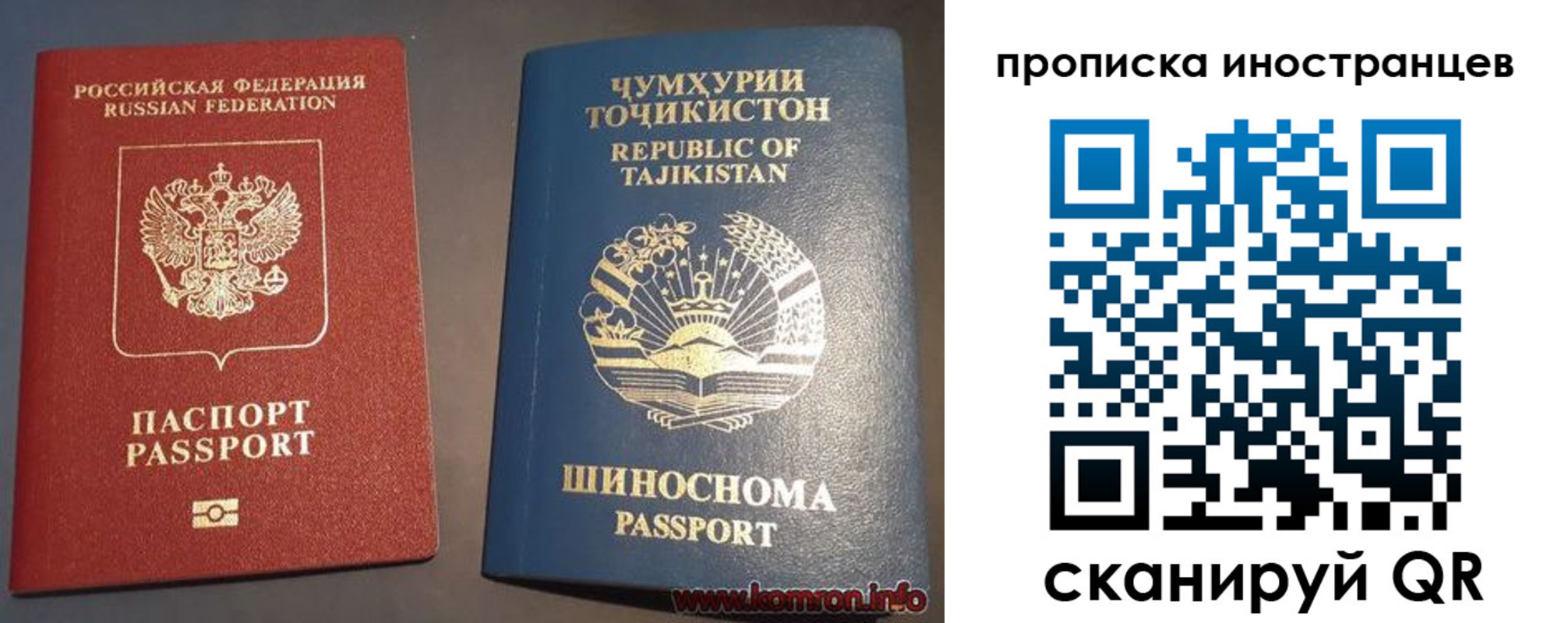 прописка поиск в Королёве